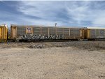 TTGX 988535